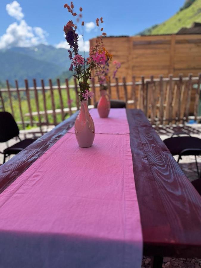 Gaul Gavkhe Hotel Ushguli Exterior foto